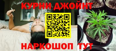 шишки Коммунар