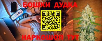 гашик Кинель