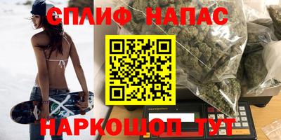 шишки Коммунар