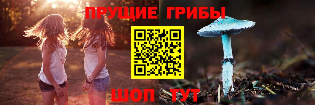 Псилоцибиновые грибы Psilocybe  Вход с VPN  Армавир 